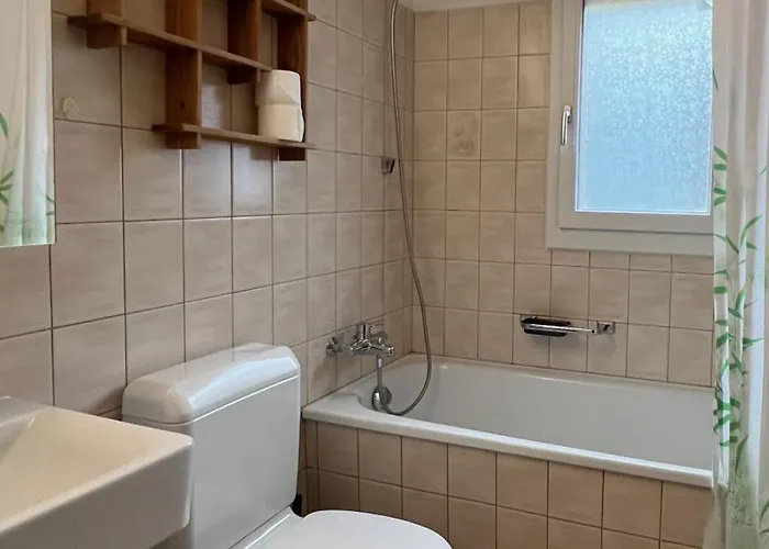 Apartment 'dahelm' Hofstetten bei Brienz