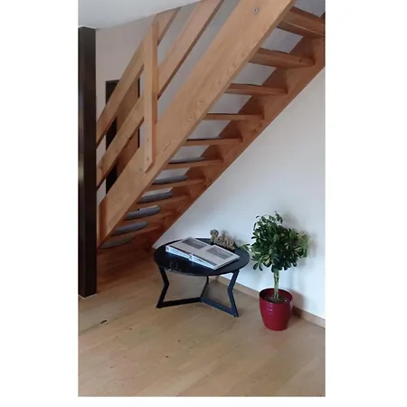 Apartment 'dahelm' Hofstetten bei Brienz