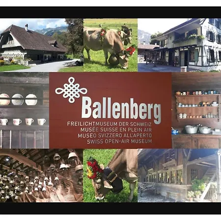 'dahelm' Apartment Hofstetten bei Brienz